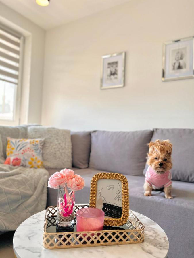 Downtown Apartments Family&Friends Rzeszów Extérieur photo