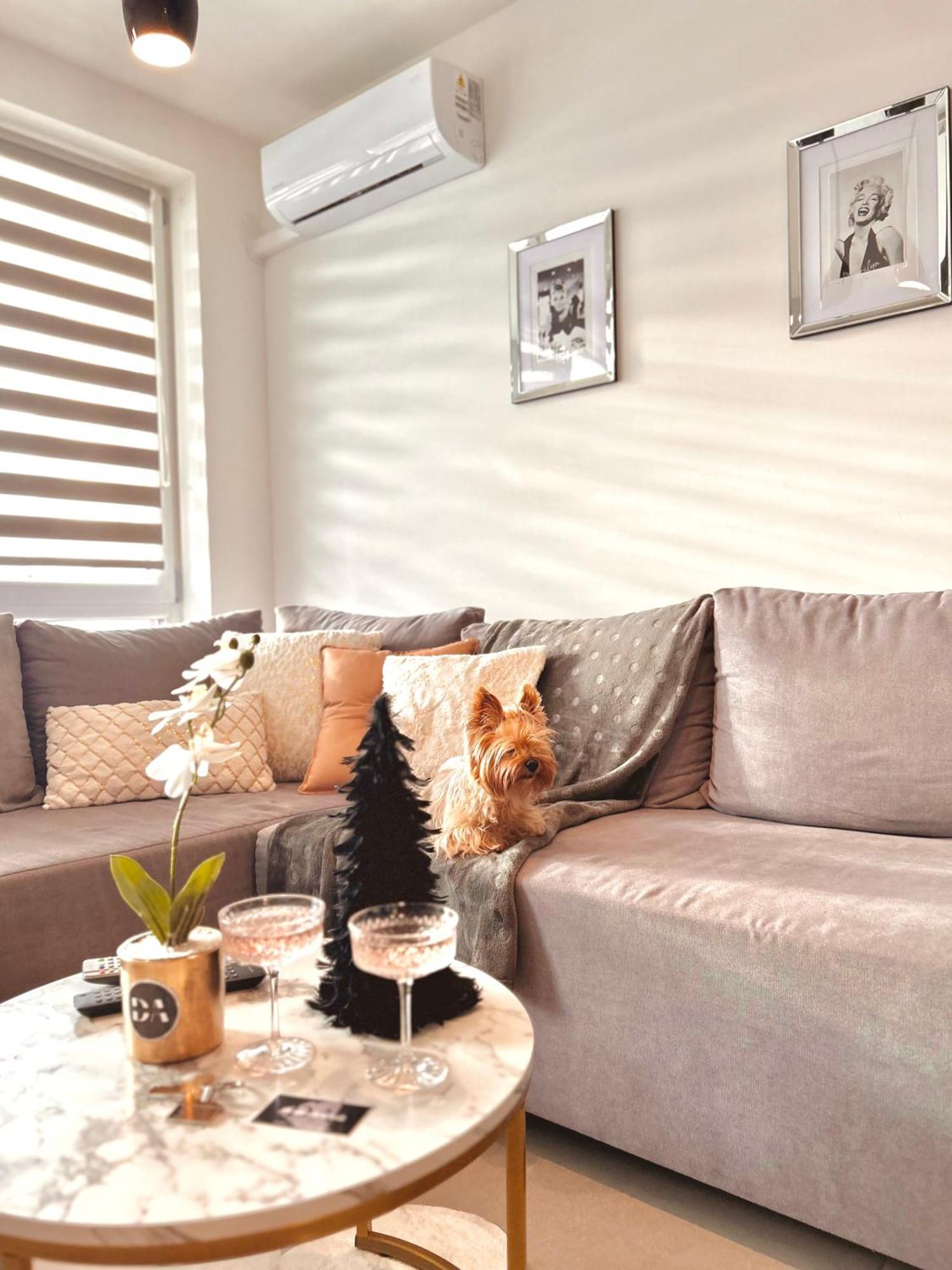 Downtown Apartments Family&Friends Rzeszów Extérieur photo