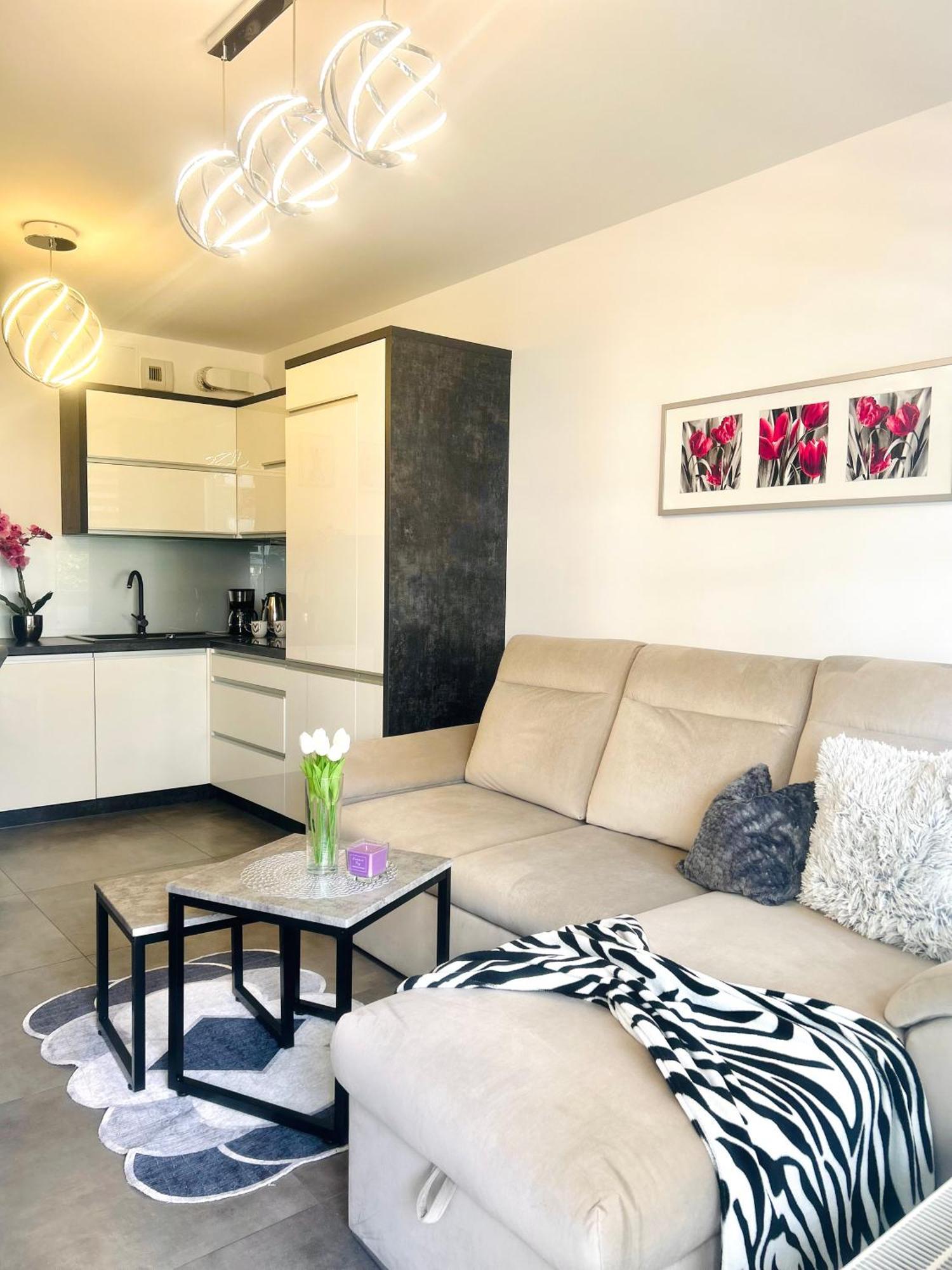 Downtown Apartments Family&Friends Rzeszów Extérieur photo